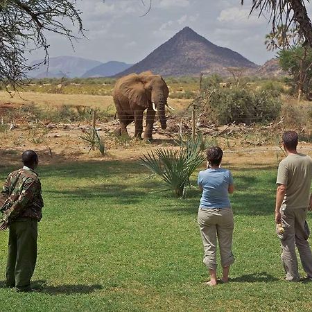 Ashnil Samburu Camp Otel Dış mekan fotoğraf