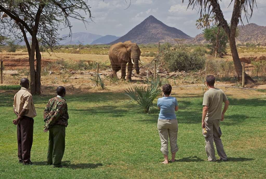 Ashnil Samburu Camp Otel Dış mekan fotoğraf