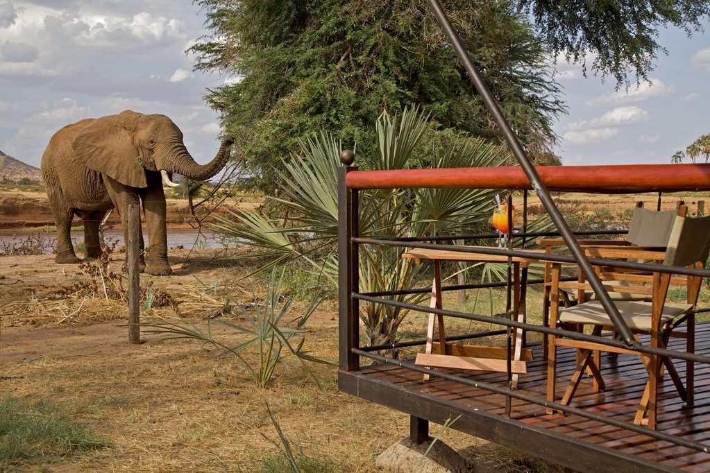 Ashnil Samburu Camp Otel Dış mekan fotoğraf