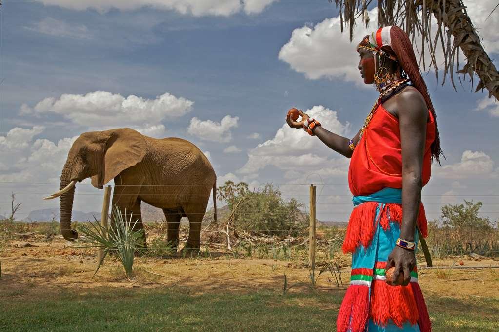 Ashnil Samburu Camp Otel Konforlar fotoğraf