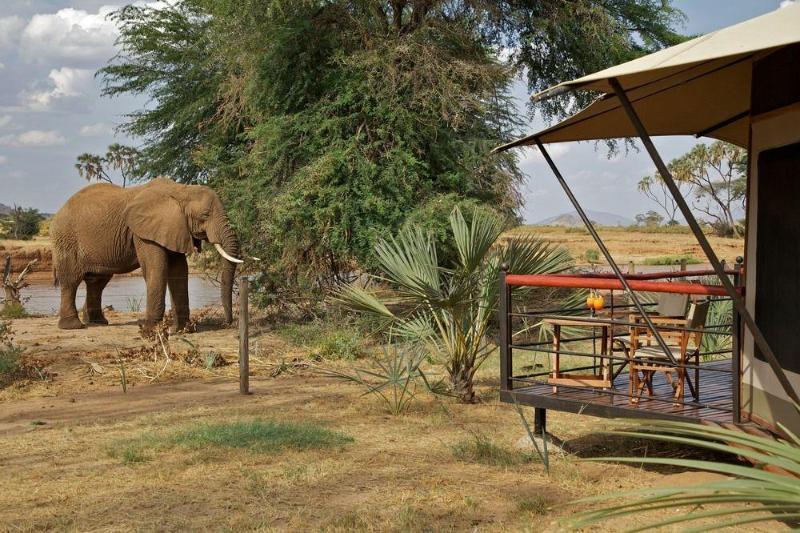 Ashnil Samburu Camp Otel Dış mekan fotoğraf