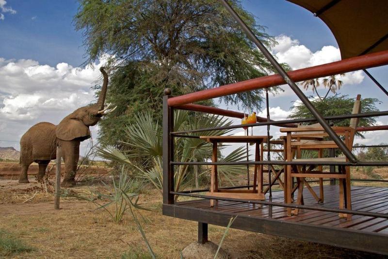 Ashnil Samburu Camp Otel Dış mekan fotoğraf