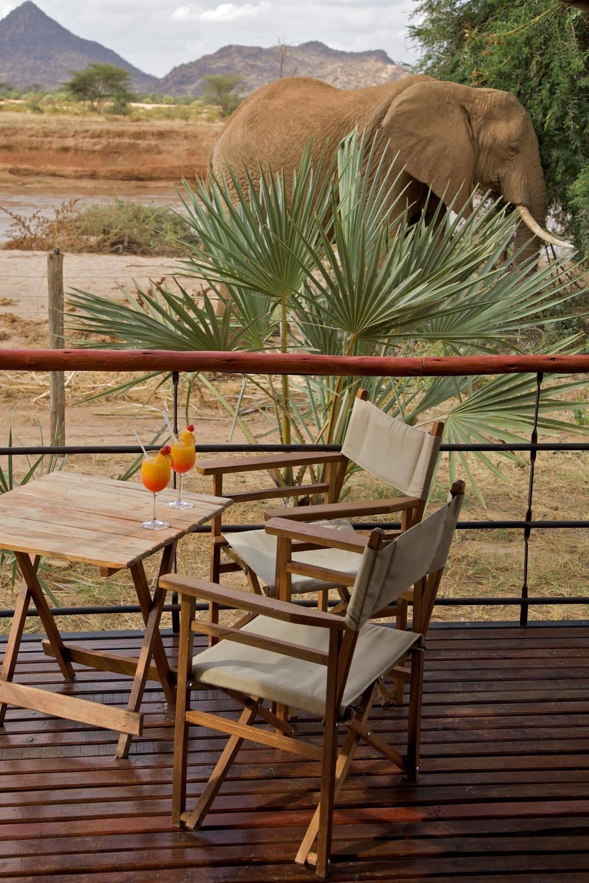 Ashnil Samburu Camp Otel Dış mekan fotoğraf